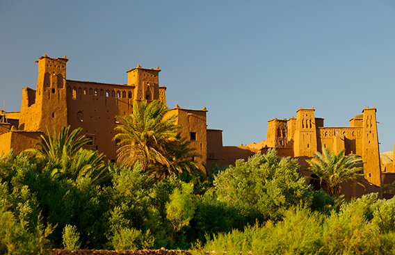 Buildings with vegetation in foreground