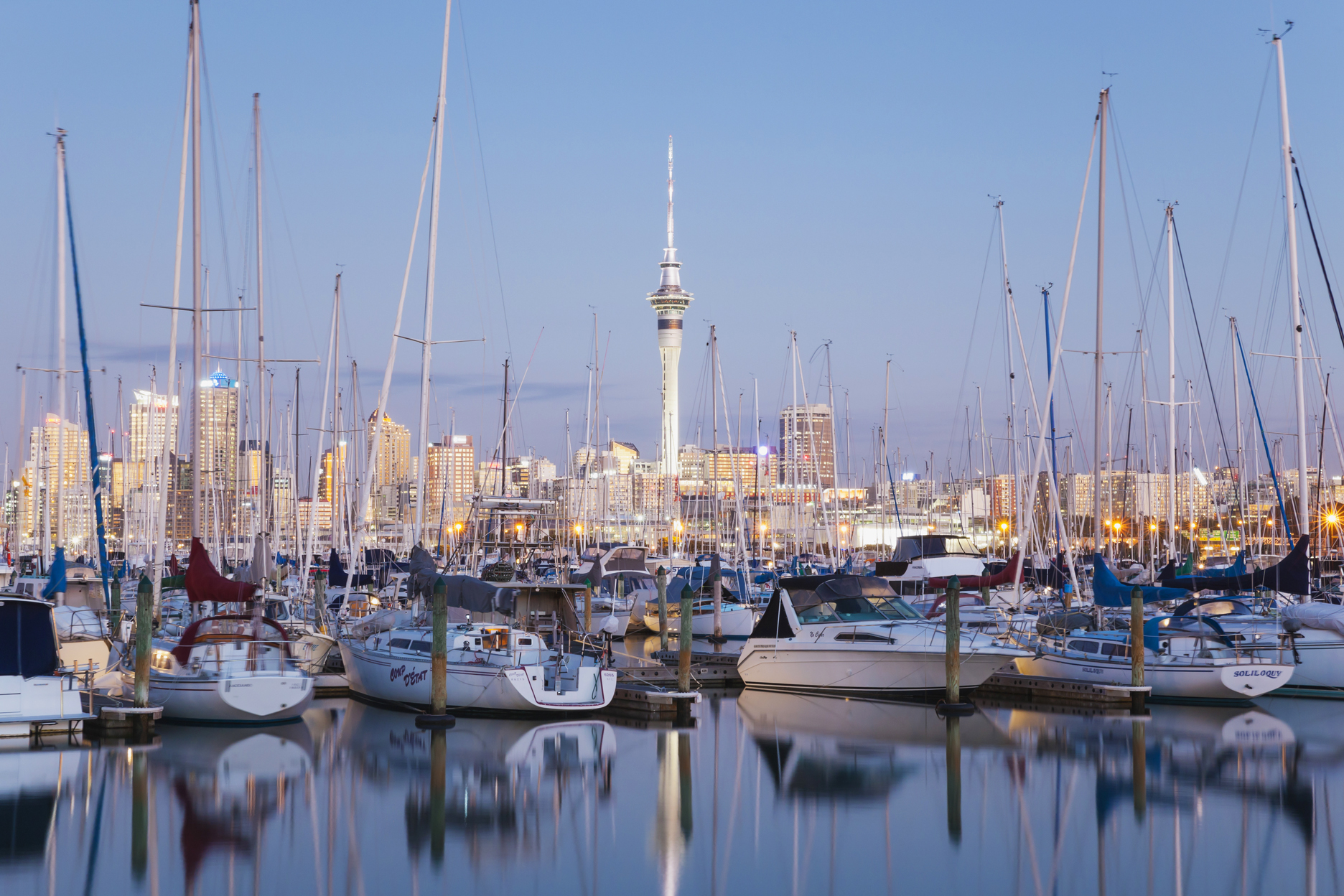 Many sailboats docked together