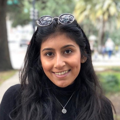 Alena Sadiq '19, Editorial Intern, Politico