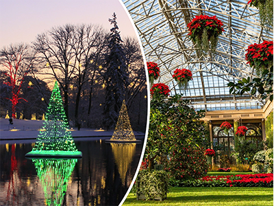 Longwood Gardents Christmas 2022 A Longwood Gardens Christmas | Duke