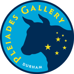 Pleiades Gallery logo