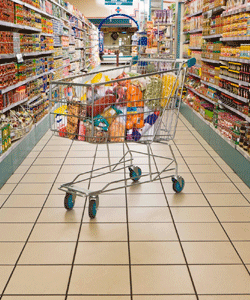 The Utopian Promises and Novelty Cheese of a Discount Grocery