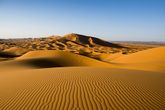 rolling hills of the desert