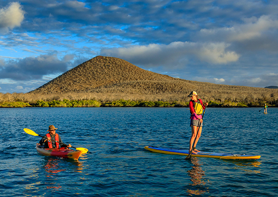 People in the water on kayaks and paddleboards