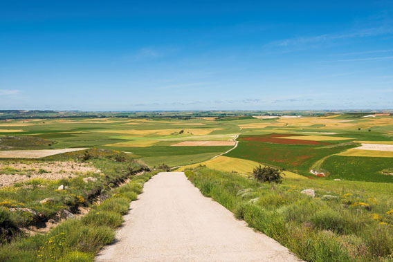 Long road leading to multiple fields in the background