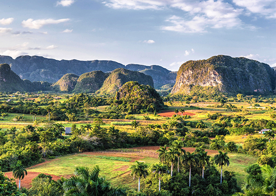 Cuban landscape