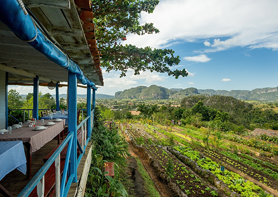 dining tables overlooking farm land