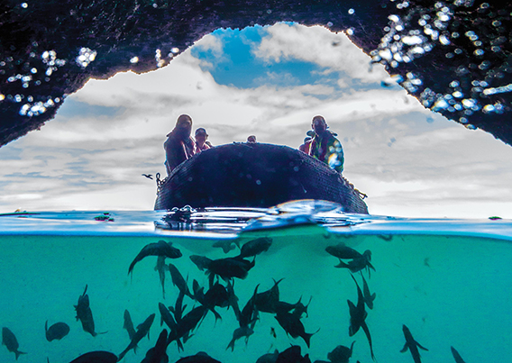 boat entering cave with fish shown in the water