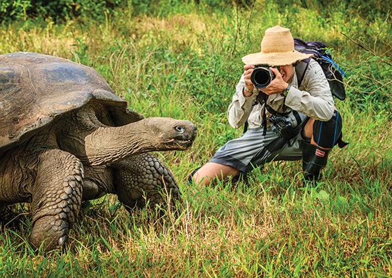 Cameraman taking picture of large Galapagos turtle