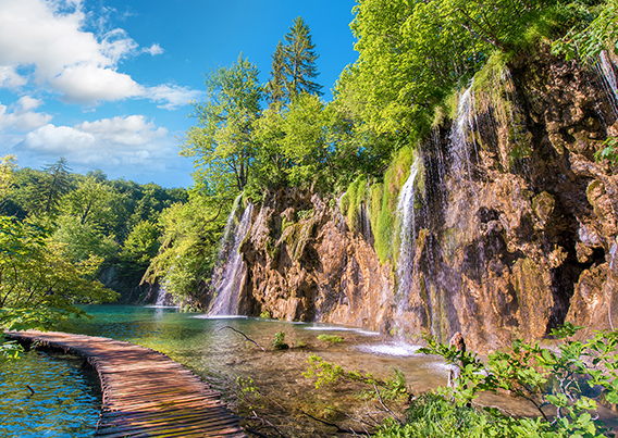 lush vegetation with a small waterfall running into a small body of water