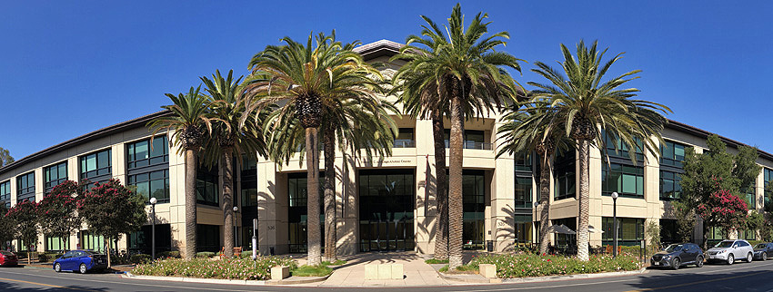 Stanford building with palm trees in front